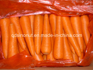 New Carrot (80-150G)